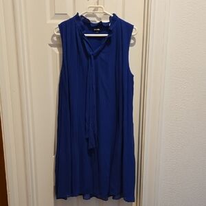 DKNY Chic Blue Sleeveless Dresd
